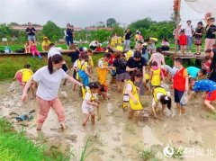 正在武汉近如许既能体验保守文化、又能露营玩